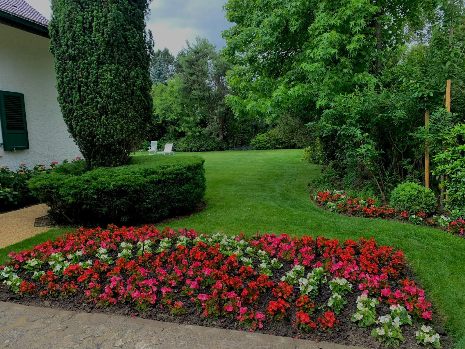 Massif de bégonias et haie taillée devant une maison, pelouse entretenue